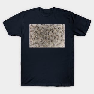 Spotted Volcanic Rock Formation T-Shirt